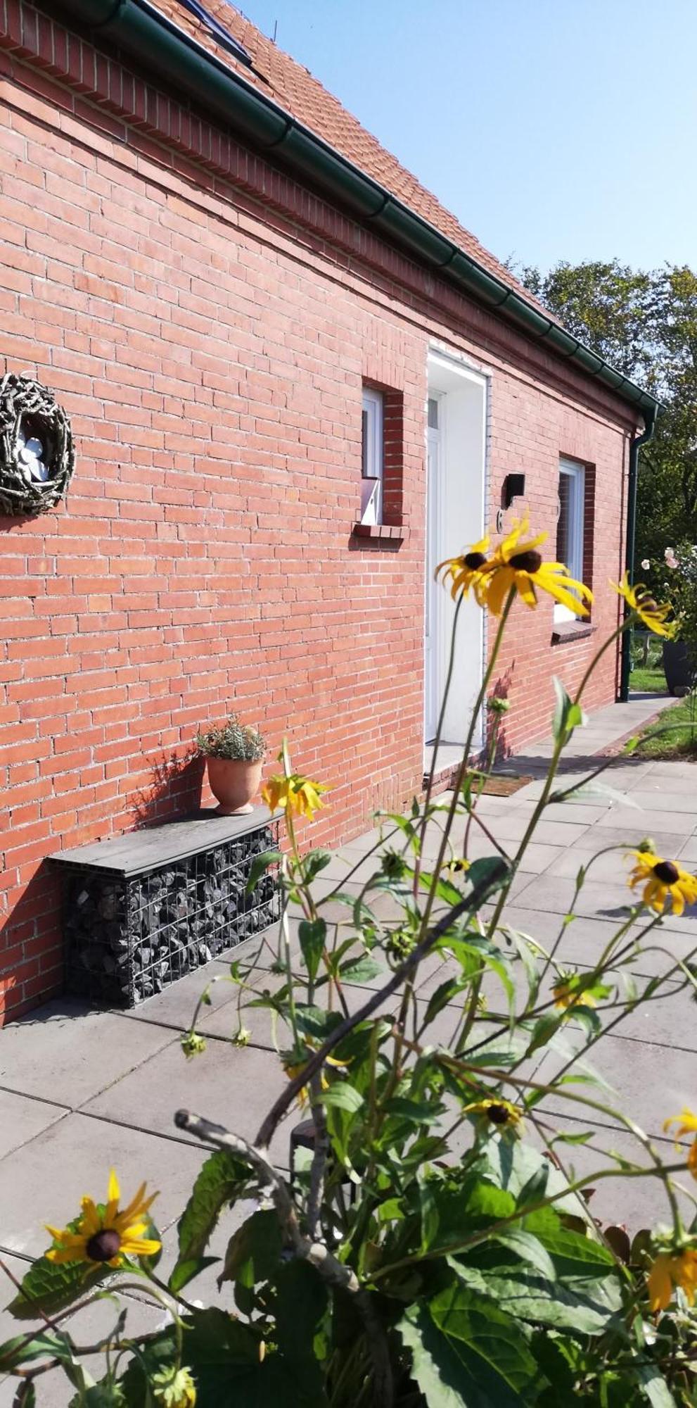Landhaus Loewenzahn Дорнум Екстериор снимка
